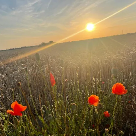 Es Gibt Nichts Zu Tun - Ostsee Naehe Usedom Spantekow